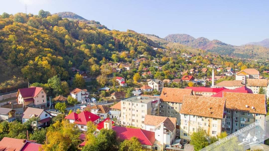 Cazare Apartament Cu 2 Camere Нехою Экстерьер фото