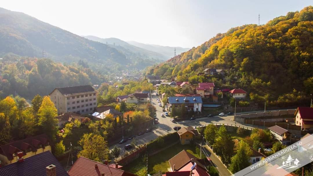 Cazare Apartament Cu 2 Camere Нехою Экстерьер фото